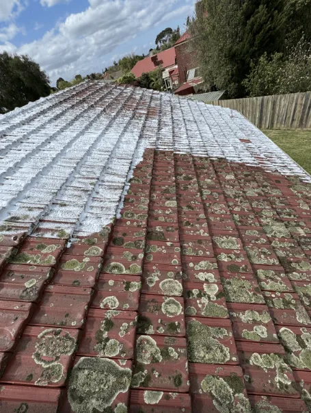 Roof Moss Removal