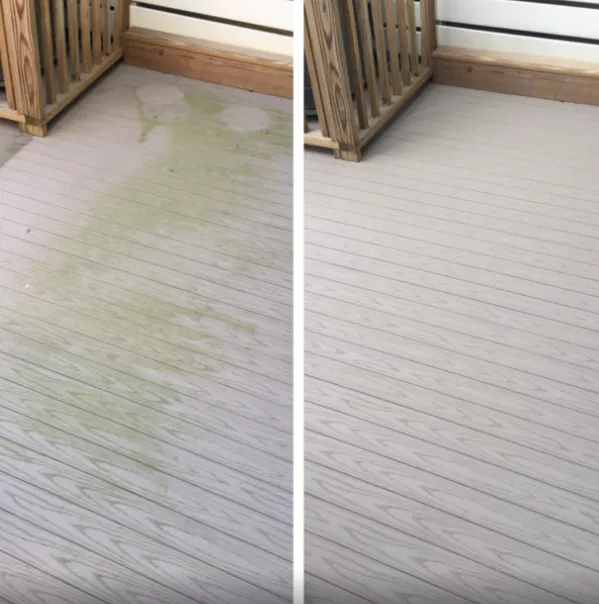 Regular Cleaning Service